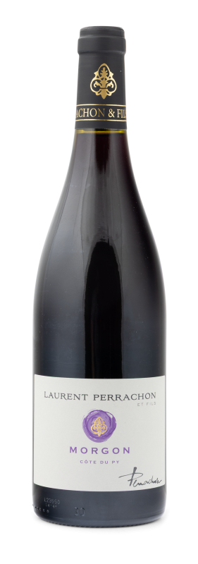 Image of 2023 Morgon Côte du Py AC